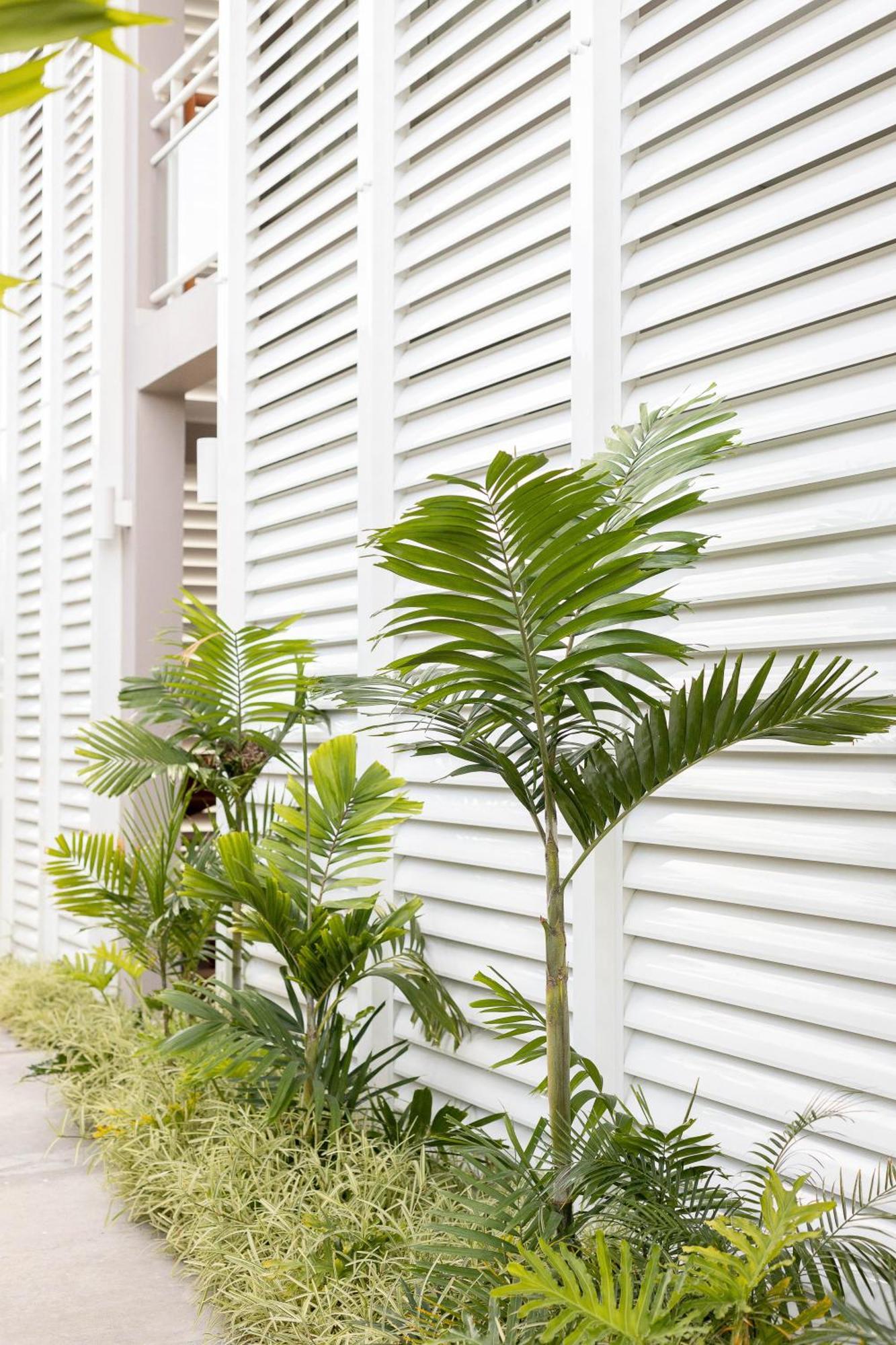 Eden Roc Appartements Le Diamant Exterior foto